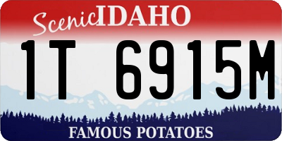 ID license plate 1T6915M