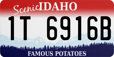 ID license plate 1T6916B