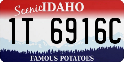 ID license plate 1T6916C