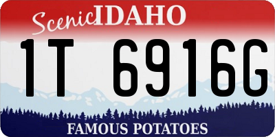 ID license plate 1T6916G