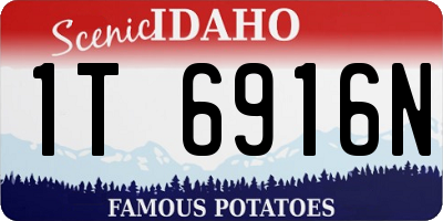 ID license plate 1T6916N