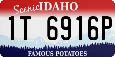 ID license plate 1T6916P