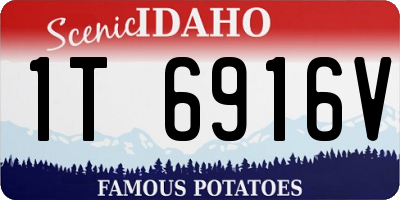 ID license plate 1T6916V