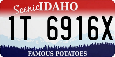 ID license plate 1T6916X
