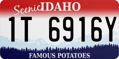 ID license plate 1T6916Y