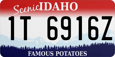 ID license plate 1T6916Z