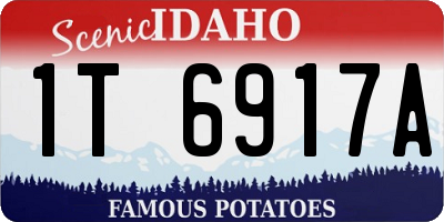 ID license plate 1T6917A