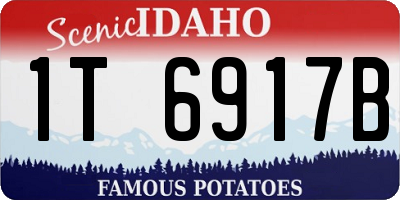 ID license plate 1T6917B