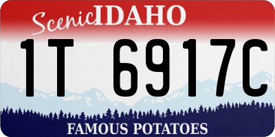 ID license plate 1T6917C
