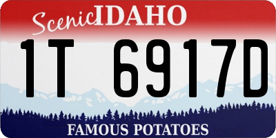ID license plate 1T6917D