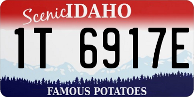ID license plate 1T6917E