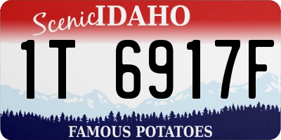 ID license plate 1T6917F