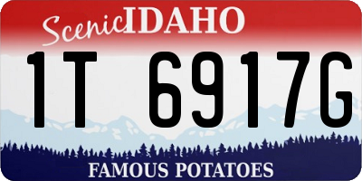ID license plate 1T6917G