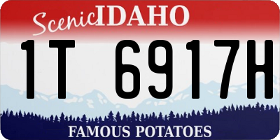 ID license plate 1T6917H