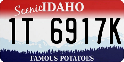 ID license plate 1T6917K
