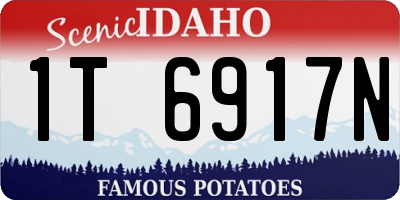 ID license plate 1T6917N