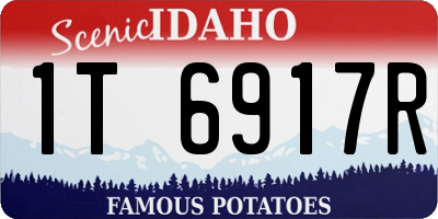 ID license plate 1T6917R
