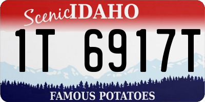 ID license plate 1T6917T
