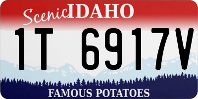 ID license plate 1T6917V