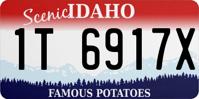 ID license plate 1T6917X