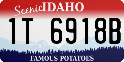 ID license plate 1T6918B