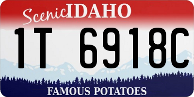 ID license plate 1T6918C