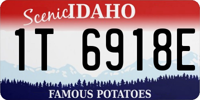 ID license plate 1T6918E