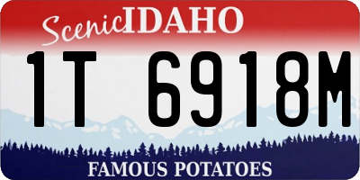 ID license plate 1T6918M
