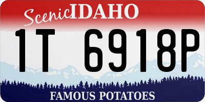 ID license plate 1T6918P