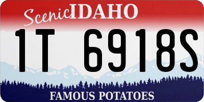 ID license plate 1T6918S