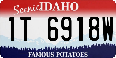 ID license plate 1T6918W