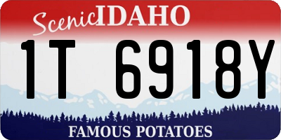 ID license plate 1T6918Y