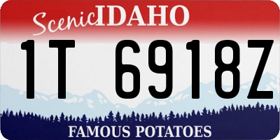 ID license plate 1T6918Z