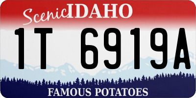 ID license plate 1T6919A