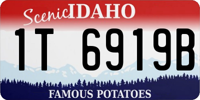 ID license plate 1T6919B