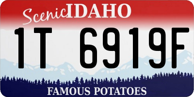 ID license plate 1T6919F