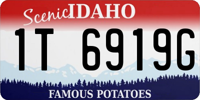 ID license plate 1T6919G