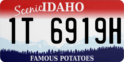 ID license plate 1T6919H