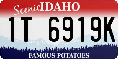 ID license plate 1T6919K