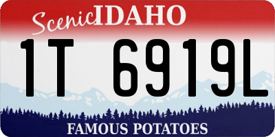 ID license plate 1T6919L
