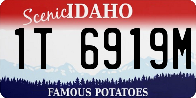 ID license plate 1T6919M