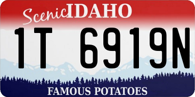 ID license plate 1T6919N