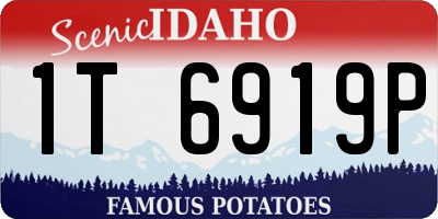 ID license plate 1T6919P