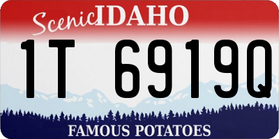 ID license plate 1T6919Q