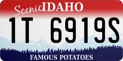 ID license plate 1T6919S