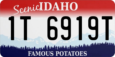 ID license plate 1T6919T