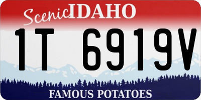 ID license plate 1T6919V