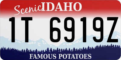 ID license plate 1T6919Z