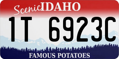 ID license plate 1T6923C