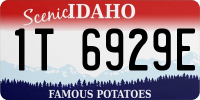 ID license plate 1T6929E